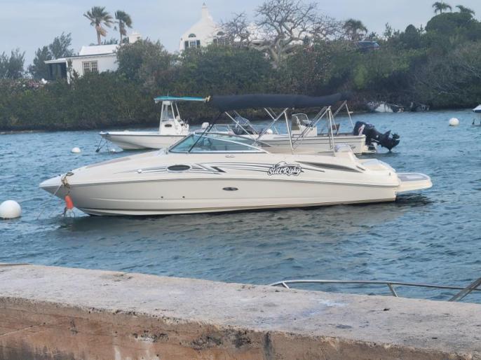 Sea Ray Sundeck 2010