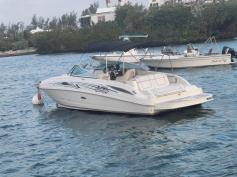 Sea Ray Sundeck 2010