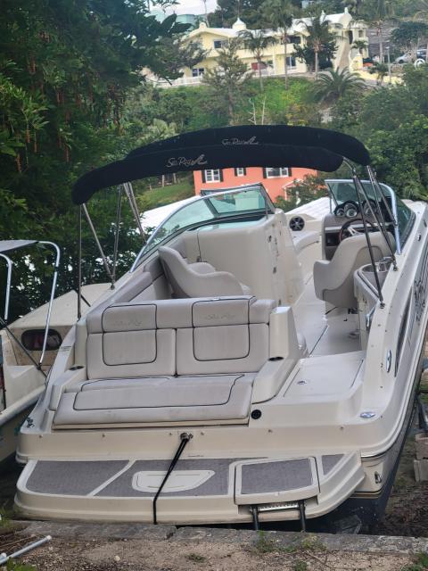 Sea Ray Sundeck 2010