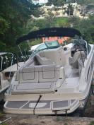Sea Ray Sundeck 2010