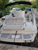 Sea Ray Sundeck 2010