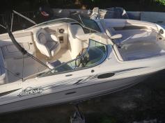 Sea Ray Sundeck 2010
