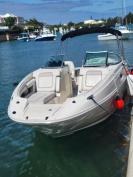 Sea Ray Sundeck 2010