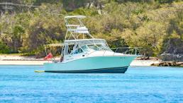 31 CABO EXPRESS  Reasonable Offers Welcomed