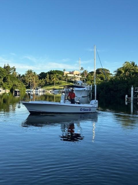 Wellcraft V21 Steplift