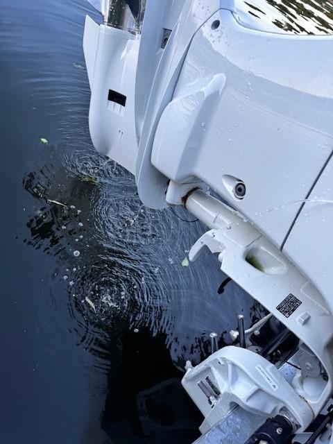 Wellcraft V21 Steplift