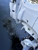 Wellcraft V21 Steplift