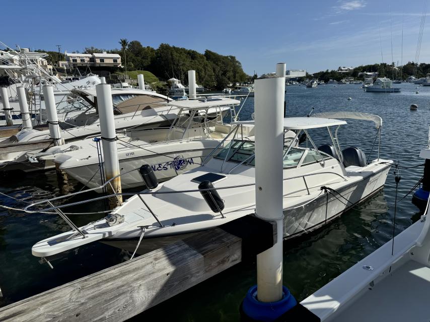 UNDER CONTRACT: Pursuit Cuddy with Twin Yamaha 4-Stroke Power