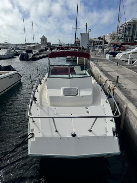 JUST SERVICED: Sea Cat 26