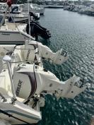JUST SERVICED: Sea Cat 26