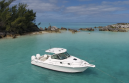 Pursuit 315 Offshore