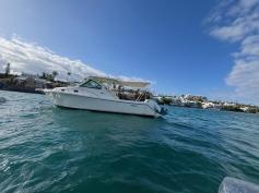 Pursuit 315 Offshore