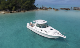 Pursuit 315 Offshore