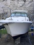 Pursuit 315 Offshore