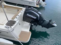 Great Family Boat - Scout 255 Dorado Dual Console