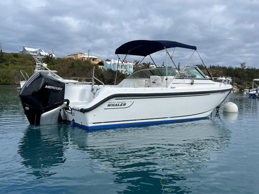 Boston Whaler Ventura 210 (2006)