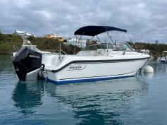 Boston Whaler Ventura 210 (2006)