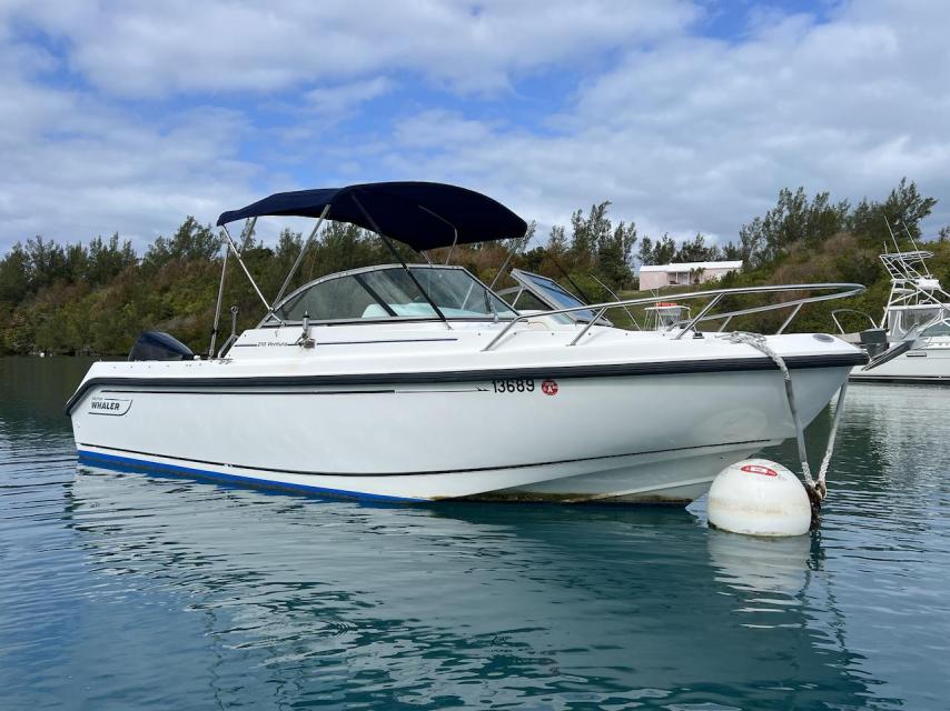Boston Whaler Ventura 210 (2006)
