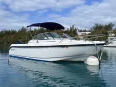Boston Whaler Ventura 210 (2006)