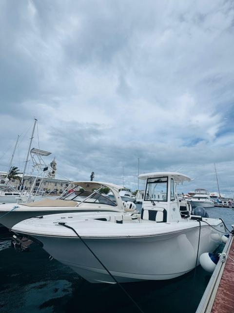 Tidewater 256 CC Adventure 2023
