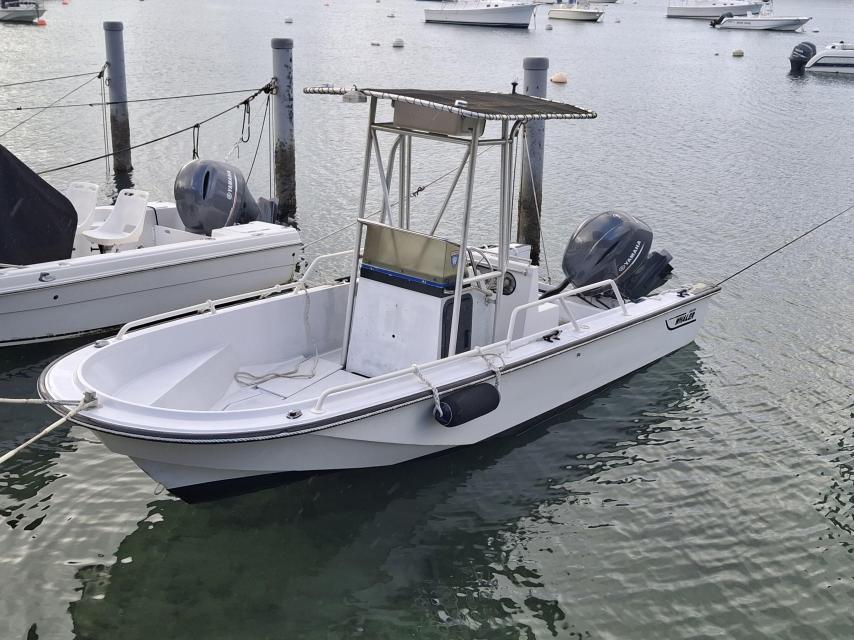 Boston Whaler Gardian