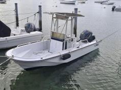 Boston Whaler Gardian
