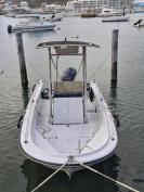Boston Whaler Gardian