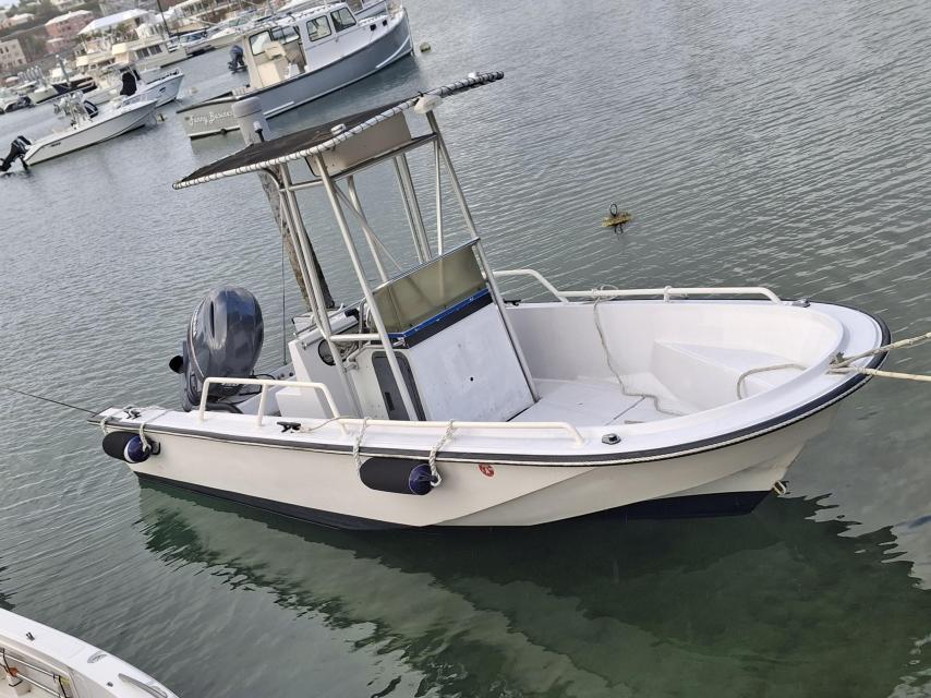 Boston Whaler Gardian