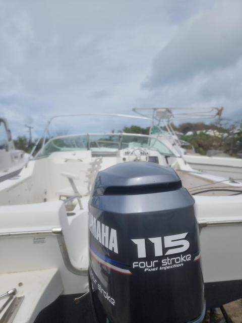 Steal the Deal Sea Pro DC Yamaha 115hp  4stroke $15k