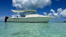 PURSUIT 3070 offshore centre console walkaround