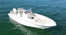 New 2025 Boston Whaler 220 Dauntless - ready for fun in the sun!