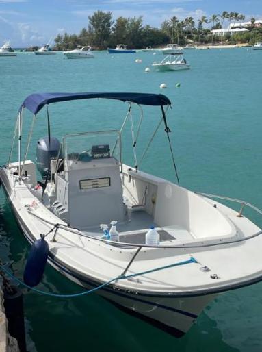 20’ wellcraft