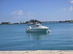 Wellcraft Coastal 232