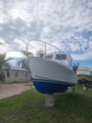 SISU SALE $35k