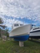 SISU SALE $35k