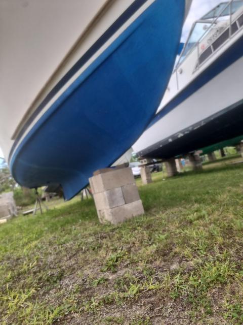 SISU SALE $35k