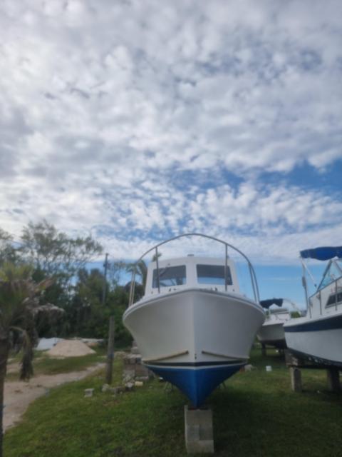SISU SALE $35k