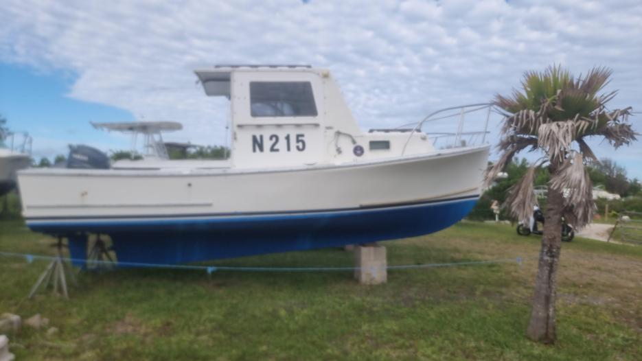 SISU SALE $35k