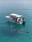 Boston Whaler 255 Conquest