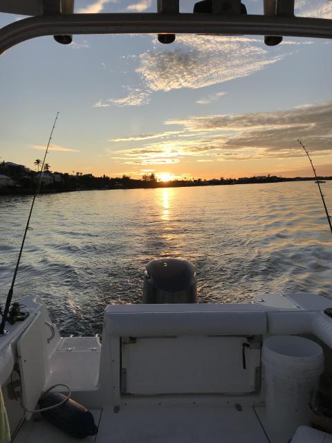 Boston Whaler 255 Conquest