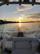 Boston Whaler 255 Conquest