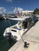 Boston Whaler 255 Conquest