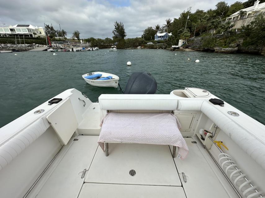 Boston Whaler 255 Conquest