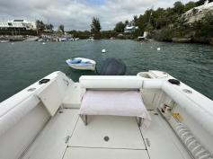 Boston Whaler 255 Conquest