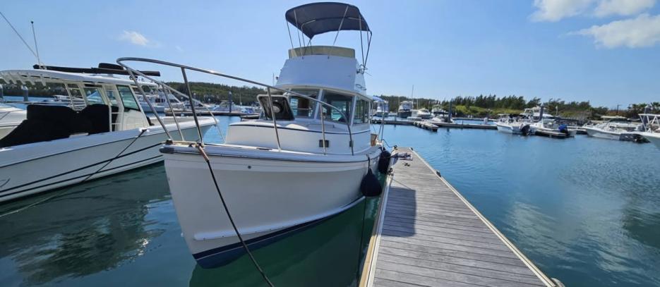 Cape Dory 28 Flybridge with Mooring 