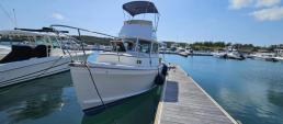 Cape Dory 28 Flybridge with Mooring 
