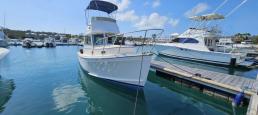 Cape Dory 28 Flybridge with Mooring 