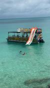 TURN KEY BUSINESS BOAT $50k STEAL THE DEAL