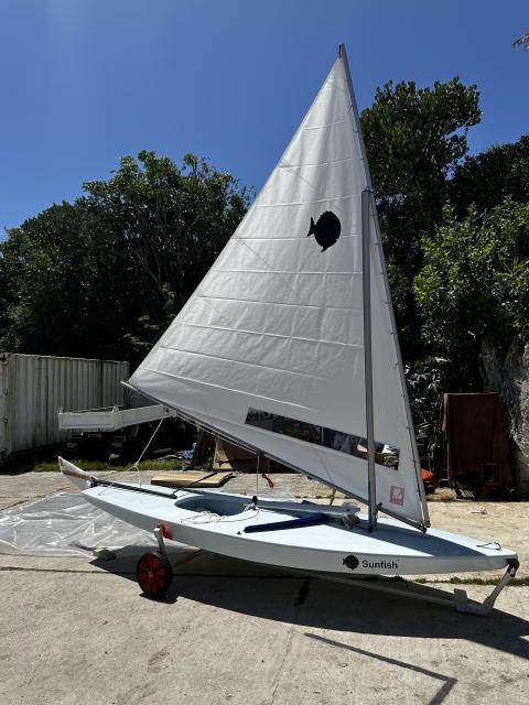 NEW Sunfish 