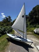 NEW Sunfish 